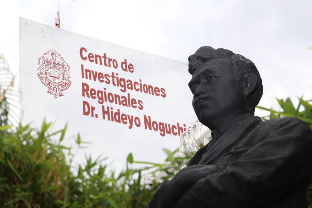 La pandemia trastocó las investigaciones científicas: Matilde Jiménez Coello